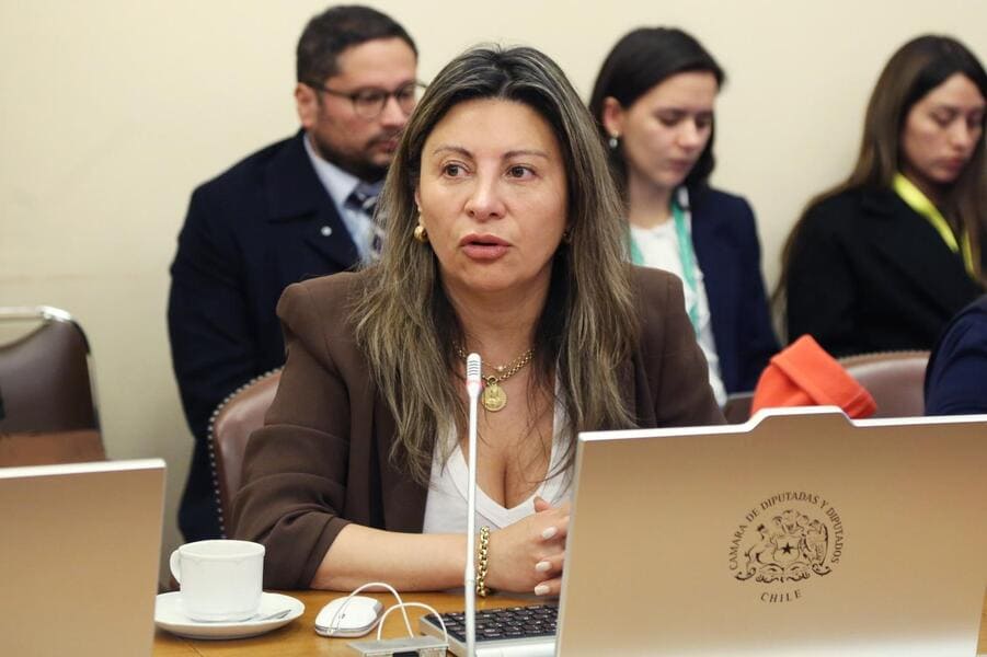 Foto diputada Valdebenito (1) (1)