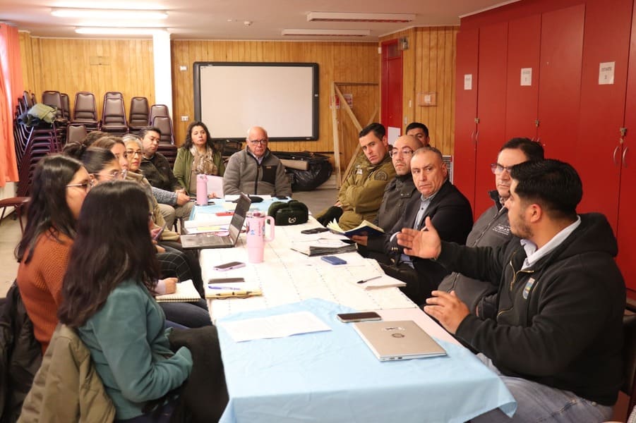 Mesa Convivencia Escolar Cochrane (1) (1)