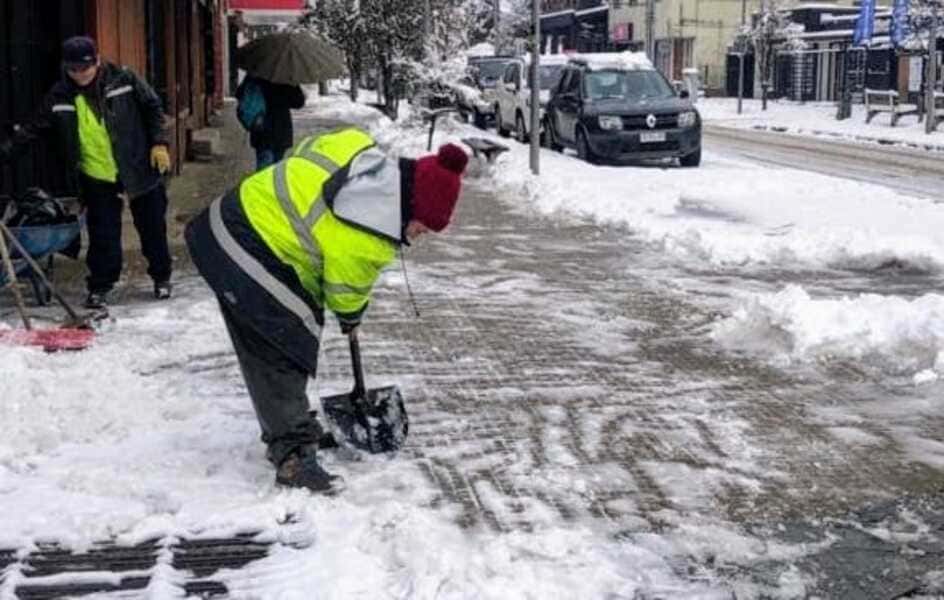 Trabajadores Frio 3 (1) (1)