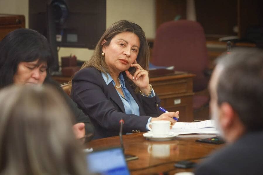 Diputada Valdebenito (17) (1) (1)