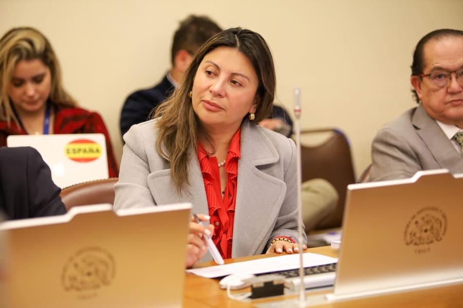 Diputada Valdebenito (18) (1) (1)
