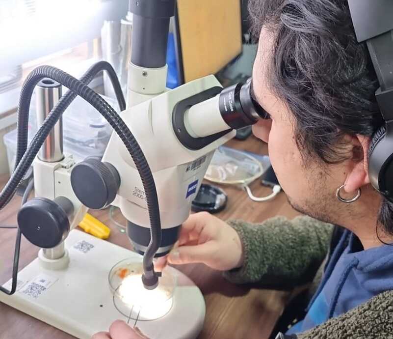 investigación-ciep-(1)_optimized