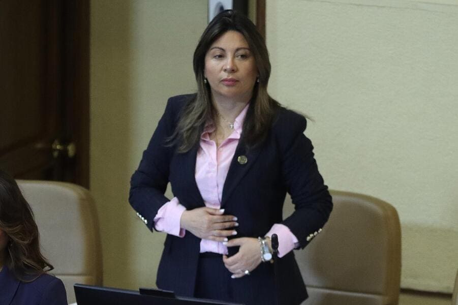 Diputada valdebenito (22) (1) (1)
