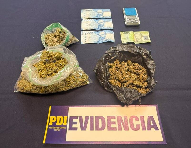Incautación droga fiscalización de extranjeros (1) (1)